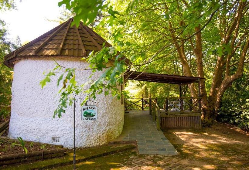 كابينة, Kings Lodge