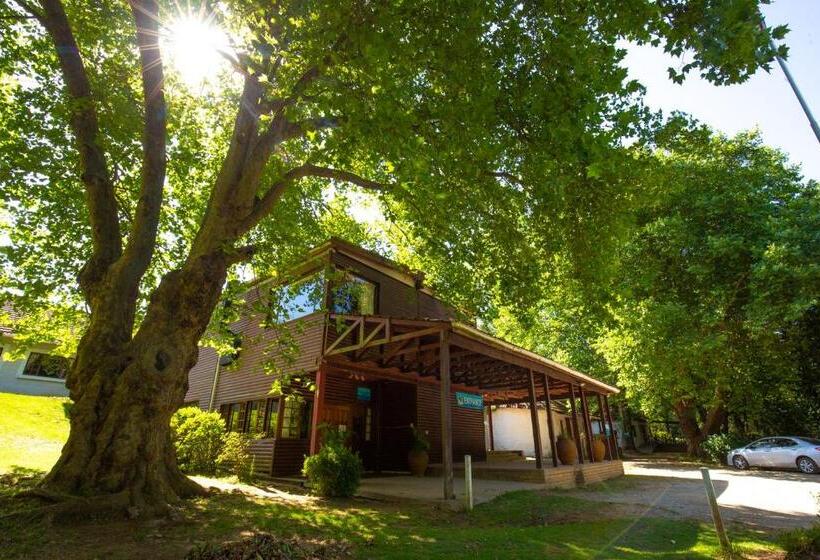 منزل غرفة نوم واحدة, Kings Lodge