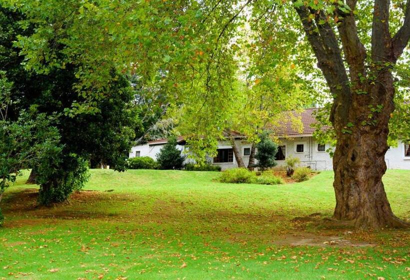 غرفة عائلية, Kings Lodge