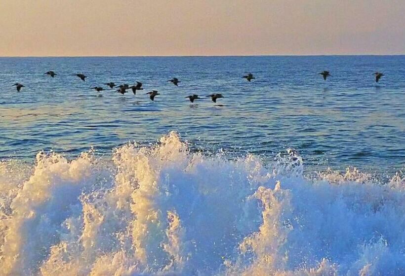 اتاق لوکس با چشمانداز باغ, Villa Star Of The Sea