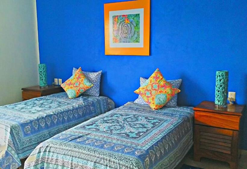 سوییت با چشمانداز دریا, Villa Star Of The Sea