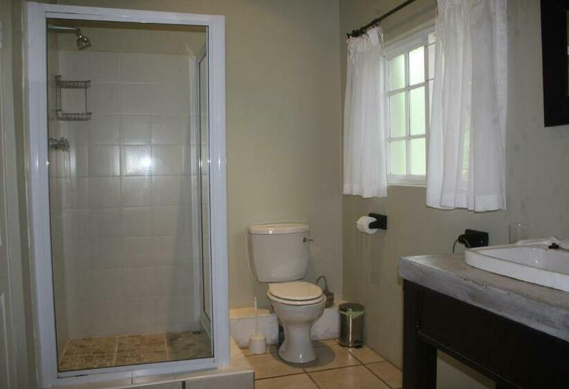 חדר דלוקס עם מרפסת, Lemon Tree B&b