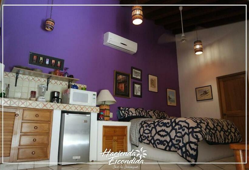 标准工作室, Hacienda Escondida Puerto Vallarta