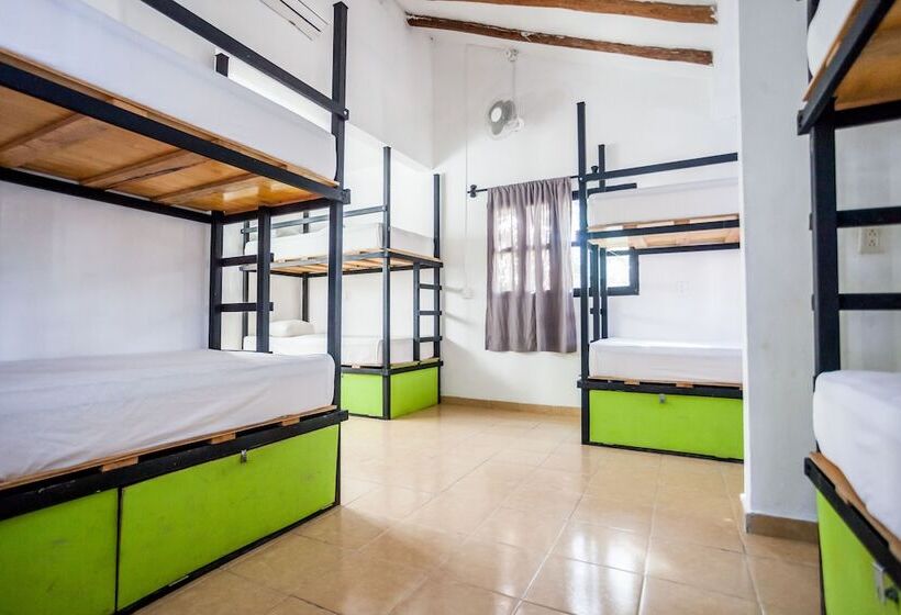 تختخواب در اتاق مشترک, Che Tulum Hostel & Bar Adults Only