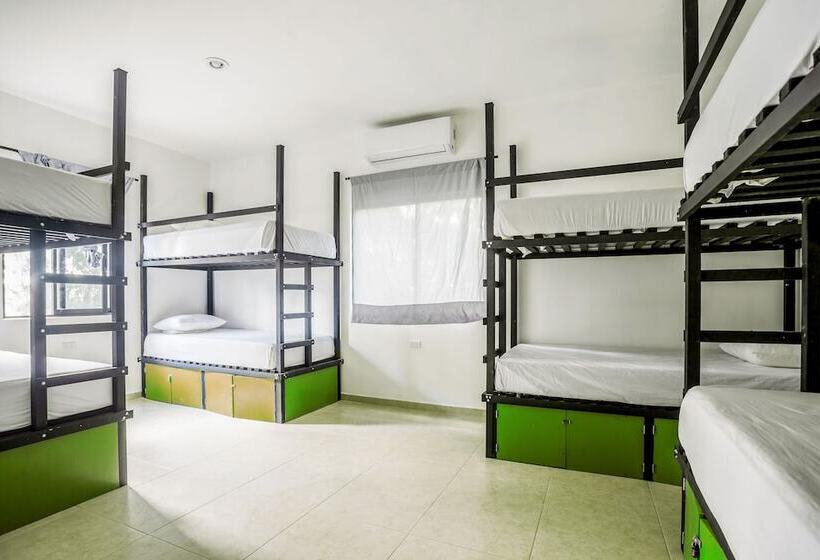 ルームシェアのワンベッド, Che Tulum Hostel & Bar Adults Only