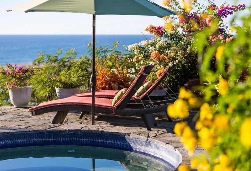 豪华海景房, Los Colibris Casitas