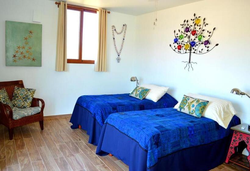 豪华海景房, Los Colibris Casitas