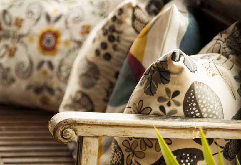 수피리어 룸, Mas De Xaxas