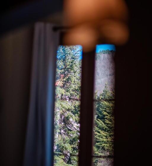 수피리어 룸, Mas De Xaxas