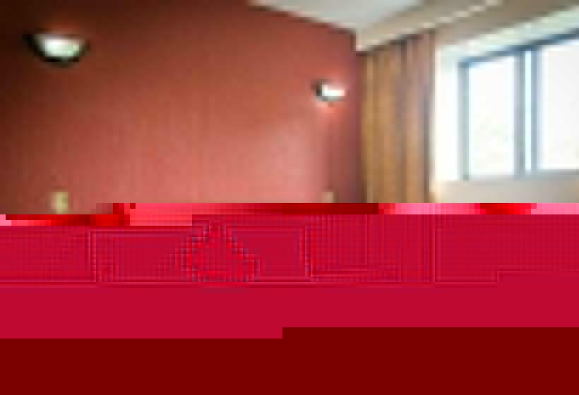 エコノミールーム, Santa Maria