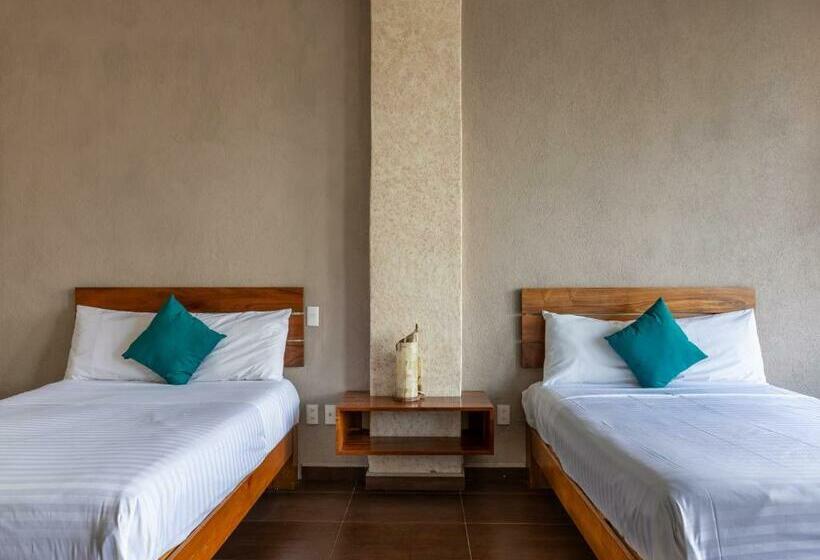 标准间, Santa Rosa