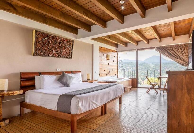 带大床的豪华间, Santa Rosa