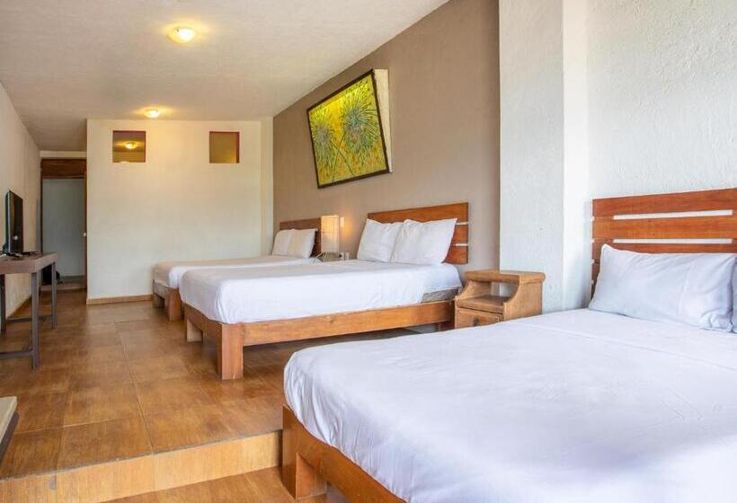 高级大房间, Santa Rosa