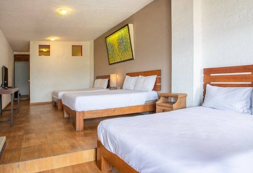 高级大房间, Santa Rosa