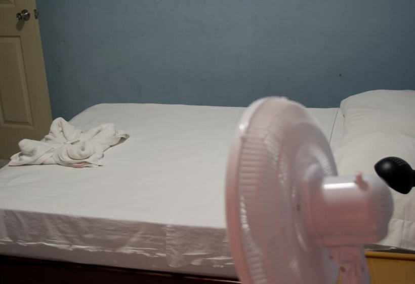 اتاق اکونومی یک تخته, Valerie