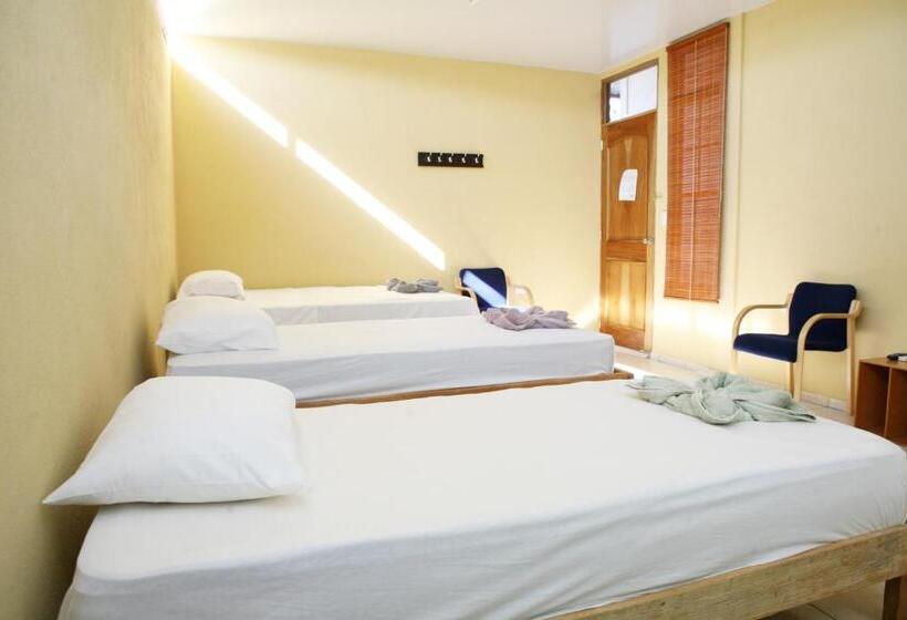 اتاق ساده سه نفره, Valerie