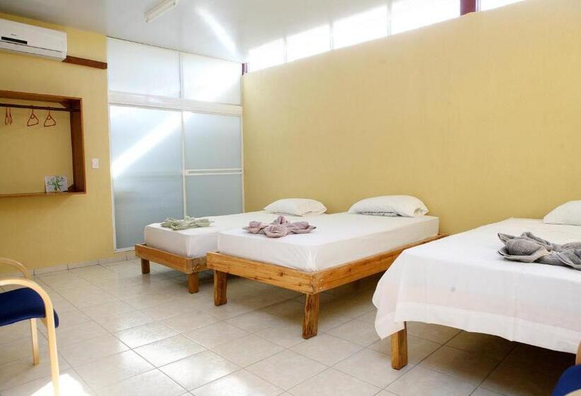 اتاق ساده سه نفره, Valerie