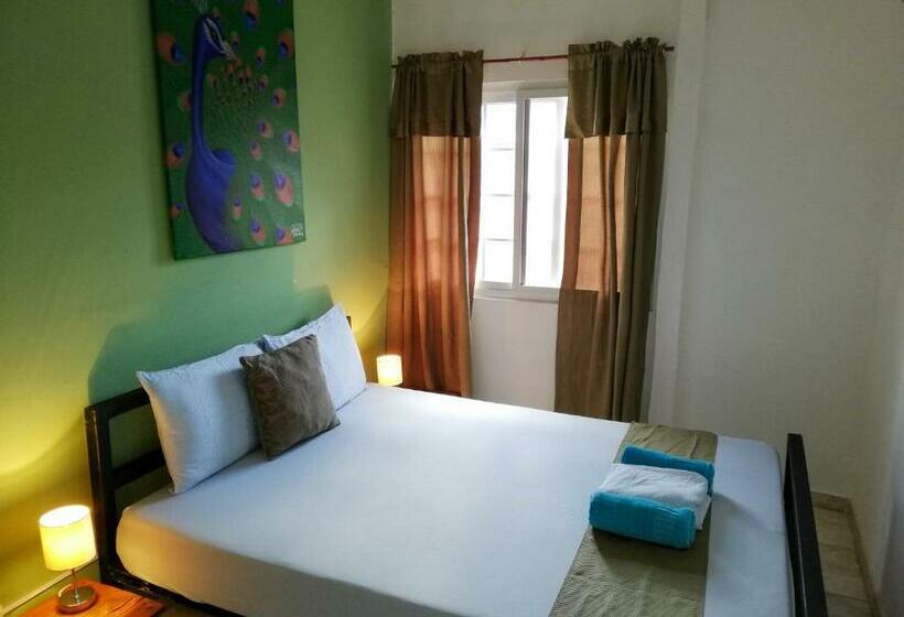 Номер Стандарт Совместная Ванная, Bodhi Hostel & Lounge