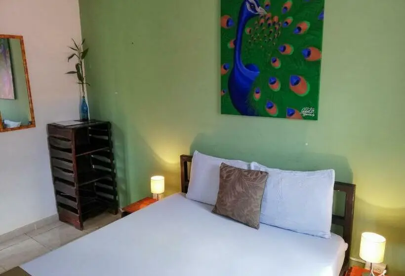 اتاق استاندارد با سرویس بهداشتی مشترک, Bodhi Hostel & Lounge