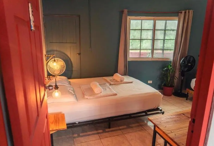 اتاق استاندارد چهارنفره با سرویس بهداشتی مشترک, Bodhi Hostel & Lounge