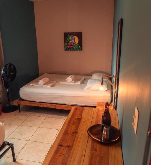 浴室共有スタンダード４人用ルーム, Bodhi Hostel & Lounge