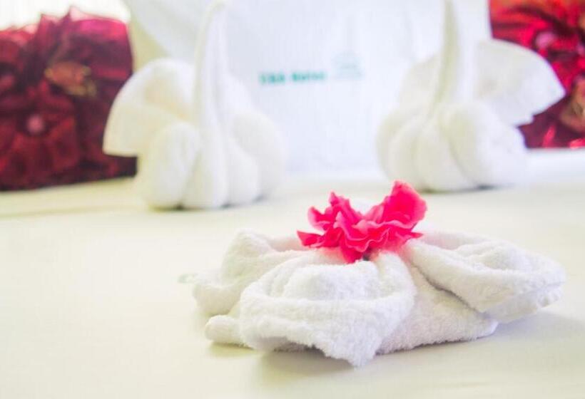 スタンダードシングルルーム, Cba