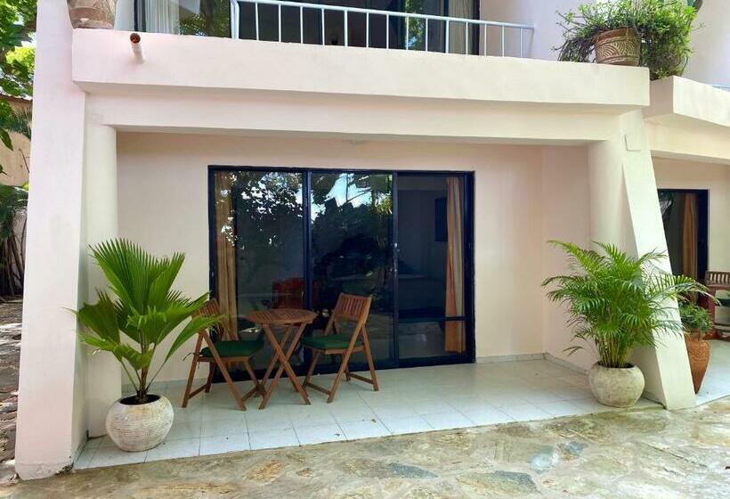 חדר סטודיו סטנדרד, Alegria