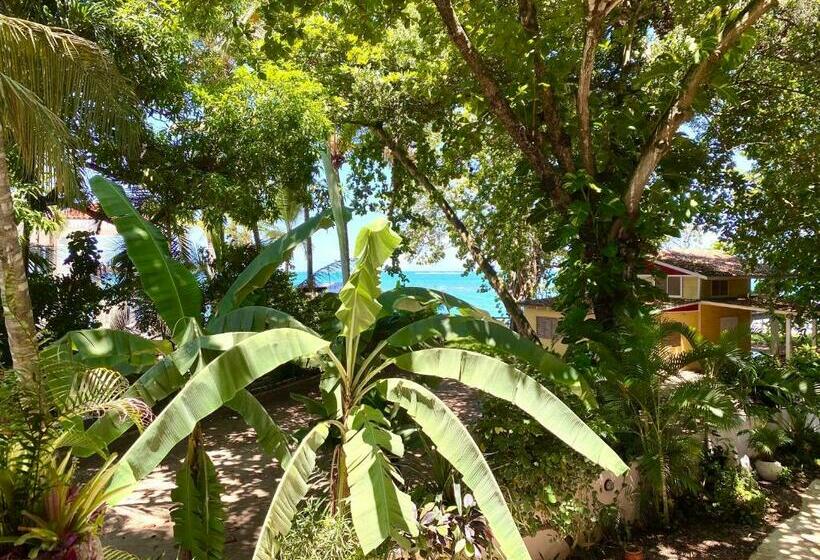 חדר סטנדרט נוף לים, Alegria