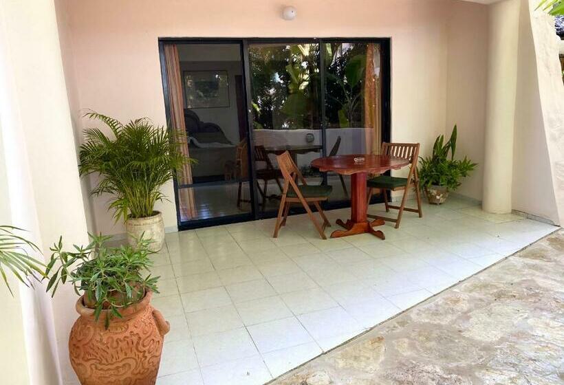 חדר סטודיו סטנדרד, Alegria