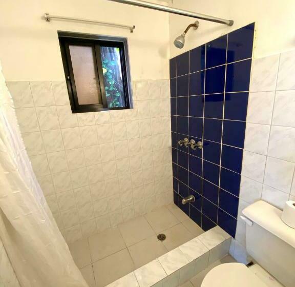 חדר סטודיו סטנדרד, Alegria