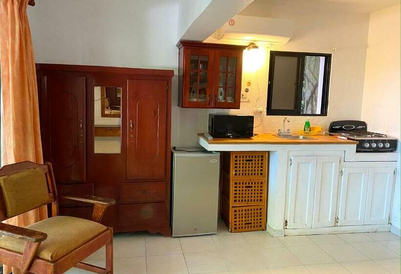 חדר סטודיו סטנדרד, Alegria