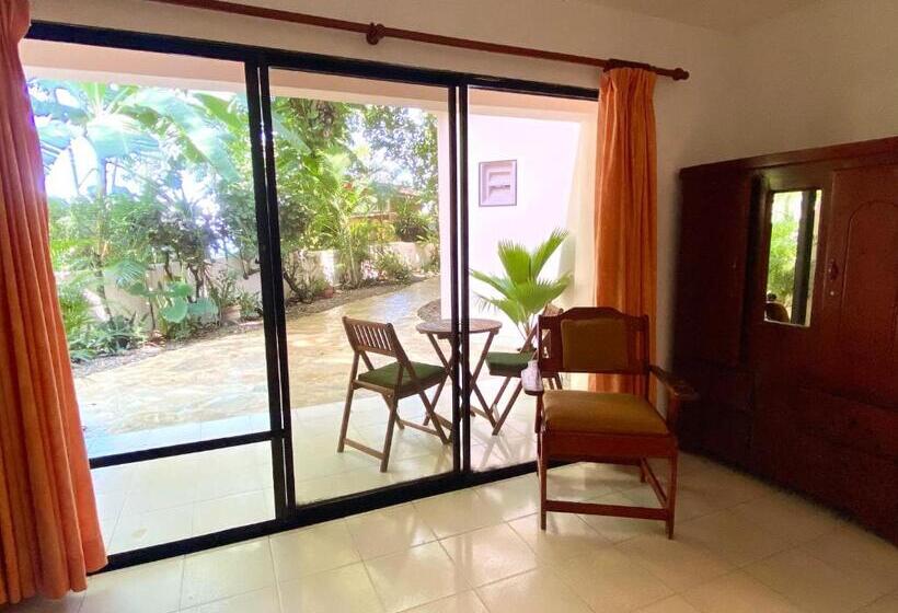 חדר סטודיו סטנדרד, Alegria