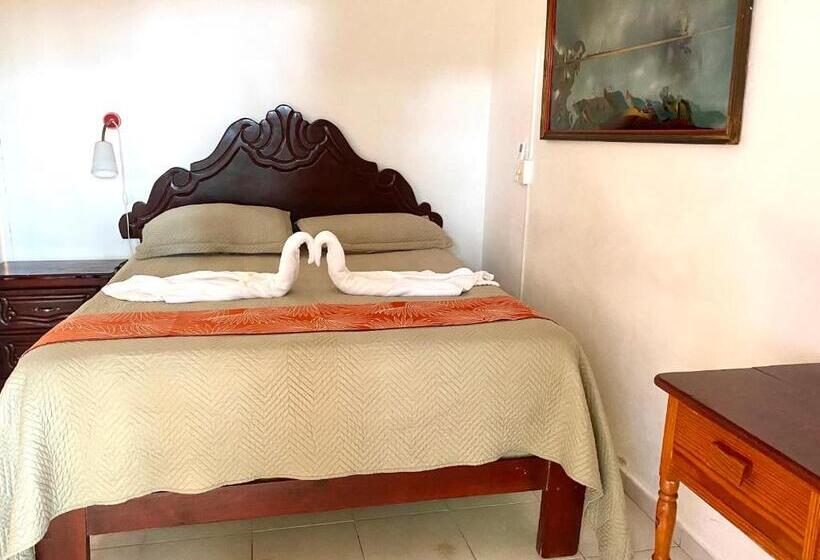 חדר סטודיו סטנדרד, Alegria