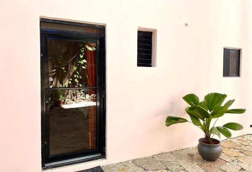 חדר סטודיו סטנדרד, Alegria