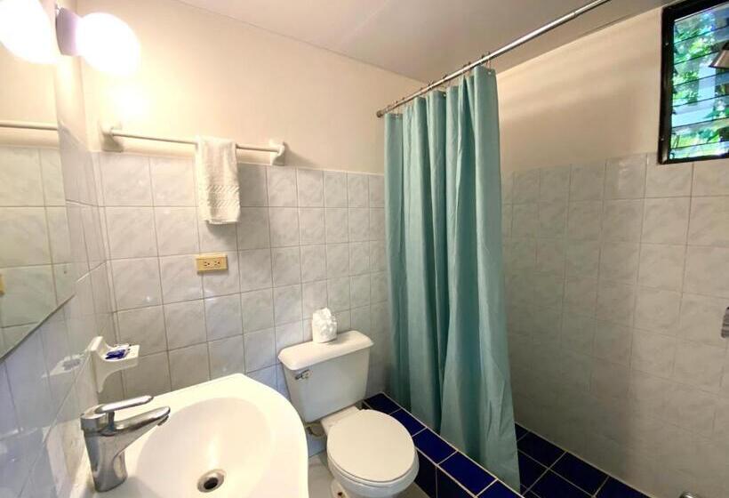 חדר סטודיו סטנדרד, Alegria