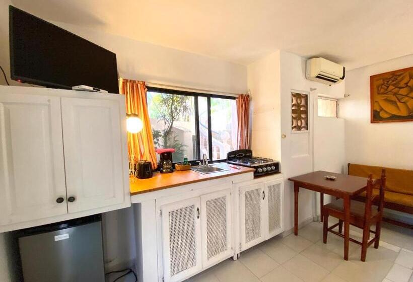 חדר סטודיו סטנדרד, Alegria