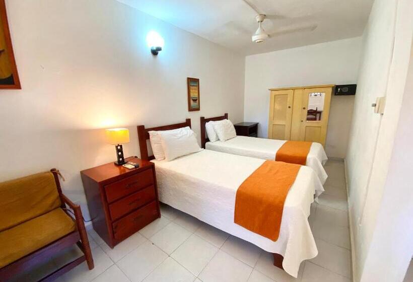 חדר סטודיו סטנדרד, Alegria