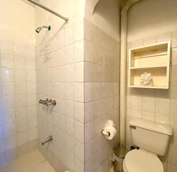 Quarto Estandar, Alegria