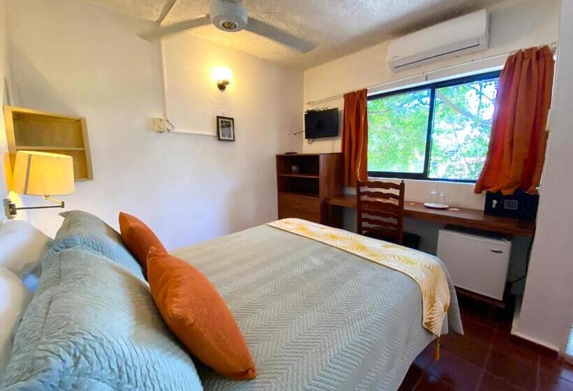 חדר סטנדרט, Alegria