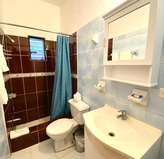 חדר סטודיו סטנדרד, Alegria