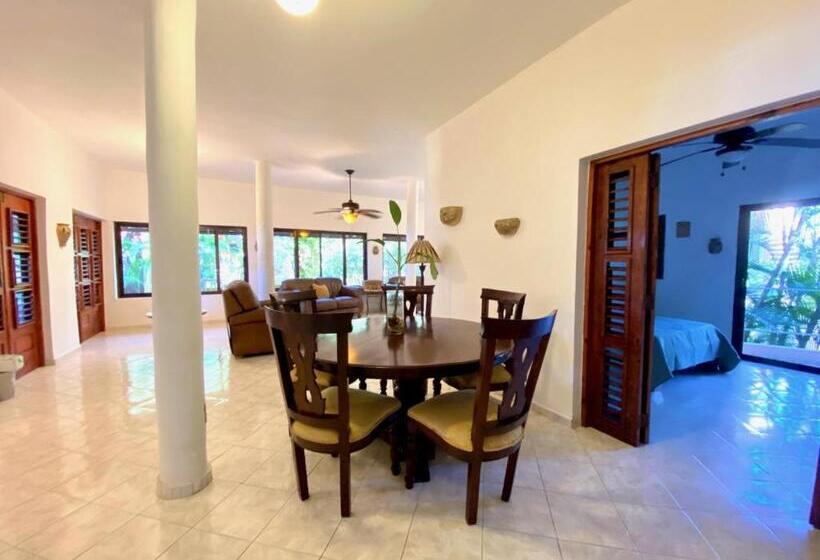 Apartamento 1 Dormitório Vista Mar, Alegria