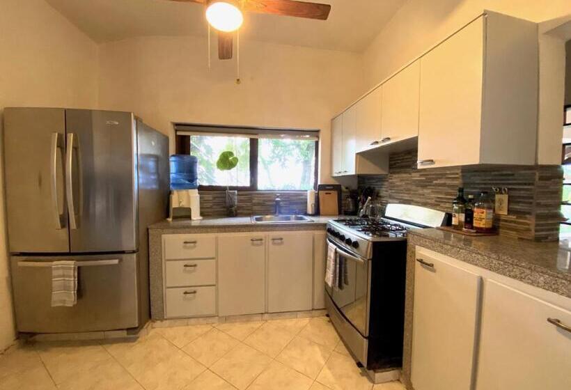 דירת חדר נוף לים, Alegria