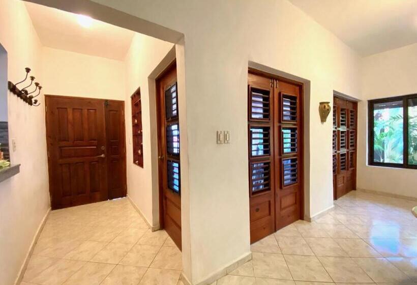 דירת חדר נוף לים, Alegria