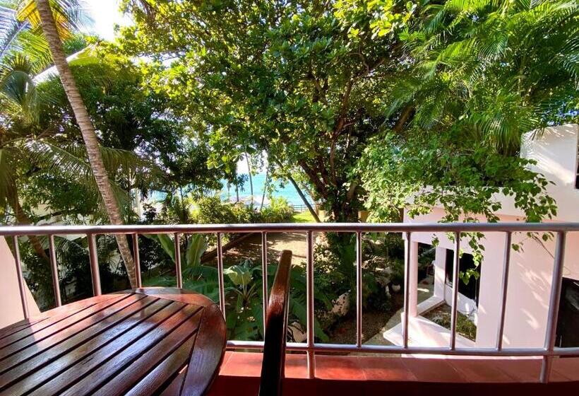 חדר סטנדרט עם מיטת קינג, Alegria