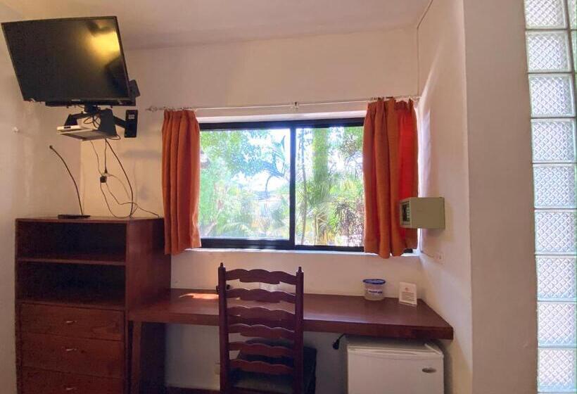 סטודיו סטנדרטי נוף לגינה, Alegria