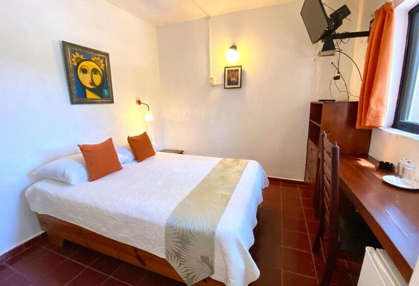 סטודיו סטנדרטי נוף לגינה, Alegria