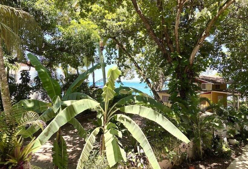 חדר סטנדרט נוף לים, Alegria