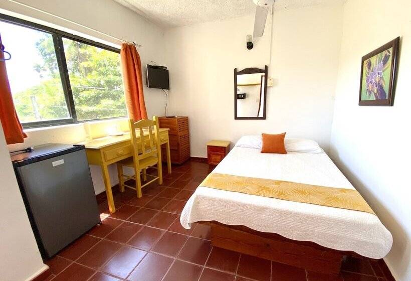 חדר סטודיו סטנדרד, Alegria