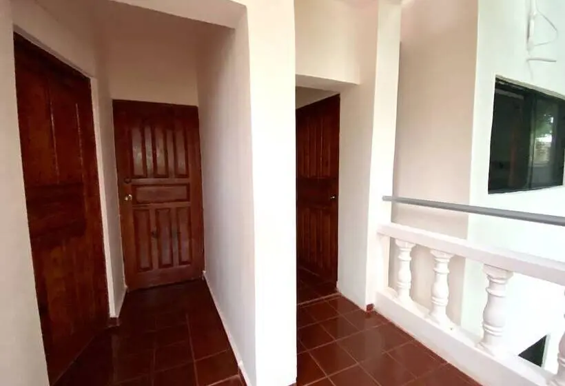 استودیوی استاندارد, Alegria
