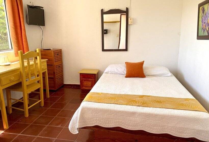 חדר סטודיו סטנדרד, Alegria